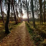 Sowi Kat - Z Baliami Oraz Tradycyjne * Lubiatowo (Pomerania)