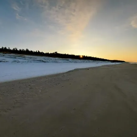 Sowi Kat - Z Baliami Oraz Tradycyjne * לוביאטובו