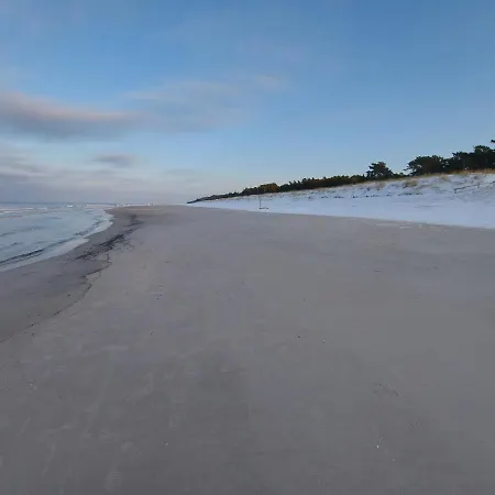 Sowi Kat - Z Baliami Oraz Tradycyjne *