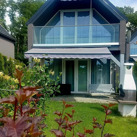 Sowi Kat - Z Baliami Oraz Tradycyjne * לוביאטובו