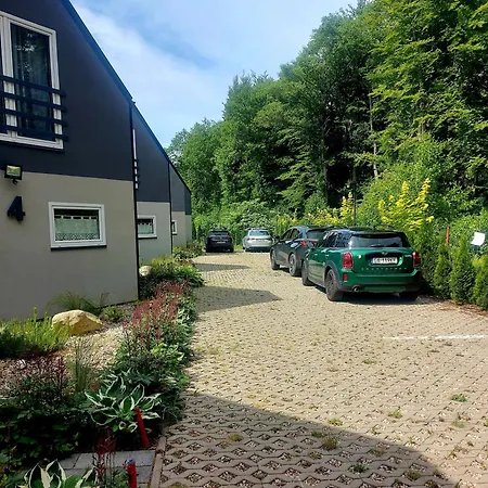 Sowi Kat - Z Baliami Oraz Tradycyjne