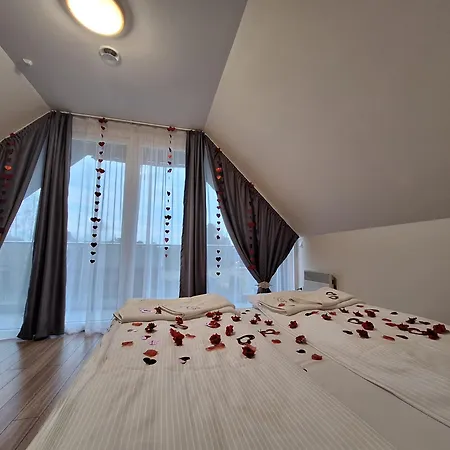 Sowi Kat - Z Baliami Oraz Tradycyjne * Lubiatowo