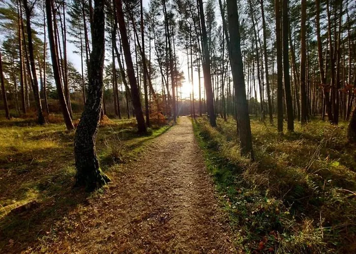 Sowi Kat - Z Baliami Oraz Tradycyjne * 鲁比亚托沃