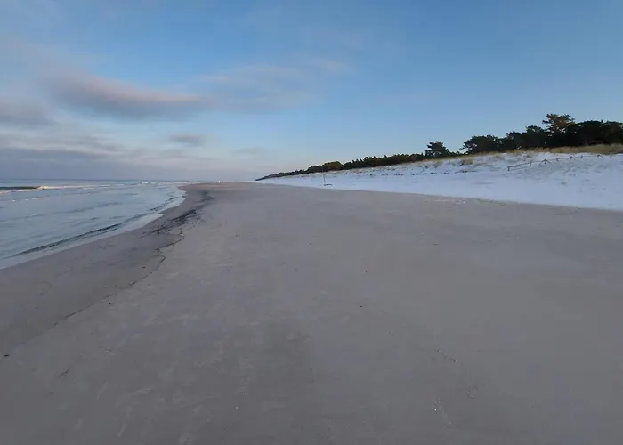 Sowi Kat - Z Baliami Oraz Tradycyjne *